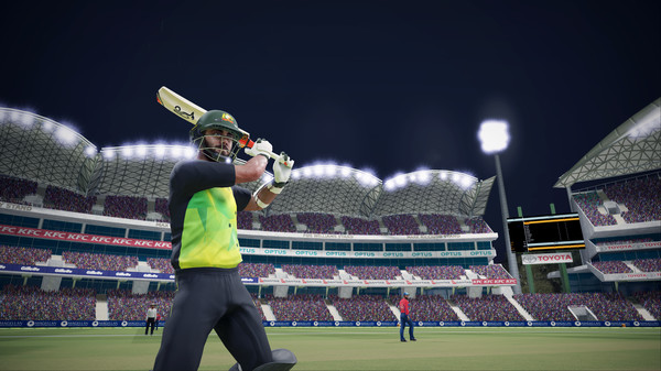 Ashes Cricket PC