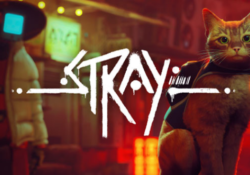 Stray-Free-Download